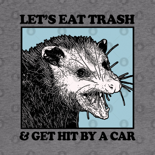 Let S Eat Trash Get Hit By A Car Possum Lovers Hoodie
