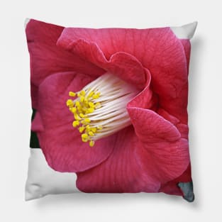 Fleur Pillow