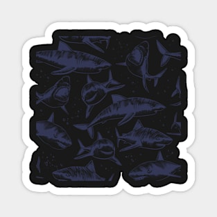 Sharks Magnet