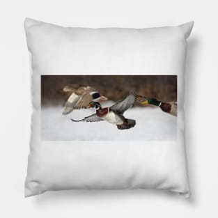 Flying the friendly skies - Wood Duck Pillow