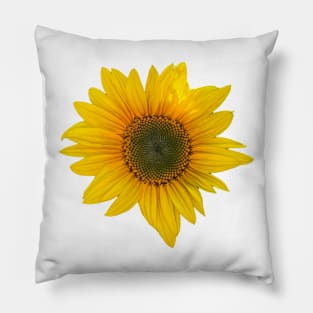 Sunflower Pillow