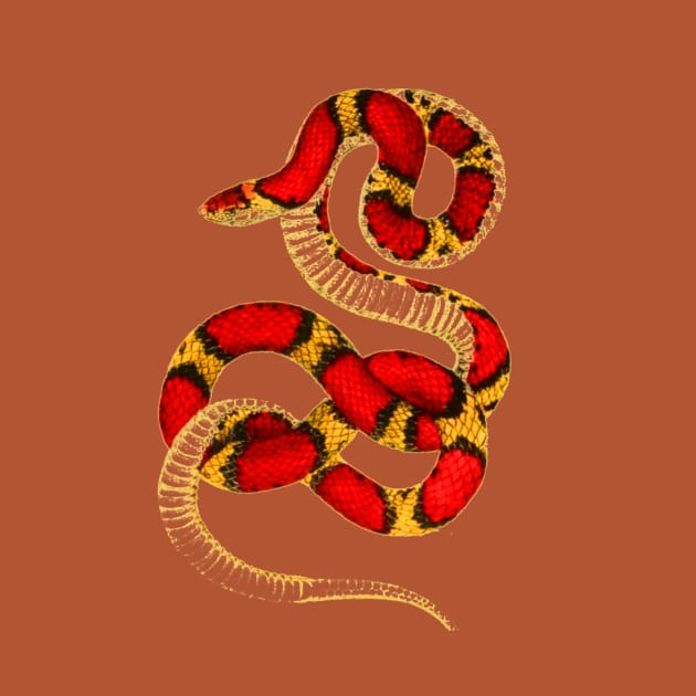 serpent,cobra,reptile,viper,venom,lizard,rattlesnake,king cobra by vabontchi