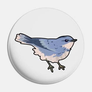 Cerulean warbler Pin