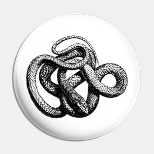 Coiled Snake Pin