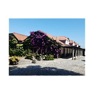 Villa at Quinta Da Aveleda T-Shirt