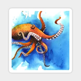 Orange Octopus Drifts Into the Blue Magnet