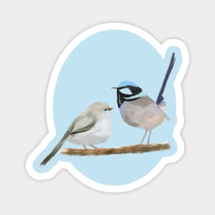 Superb Fairy Wren Date Magnet