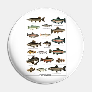 Vintage Lake Superior Fish Species Chart Pin