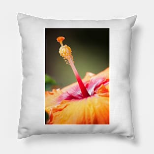 Hibiscus II Pillow