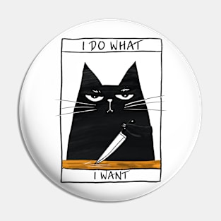 Funny black cat and inscription Pin