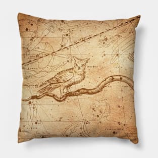 Mythical Map Design Pillow