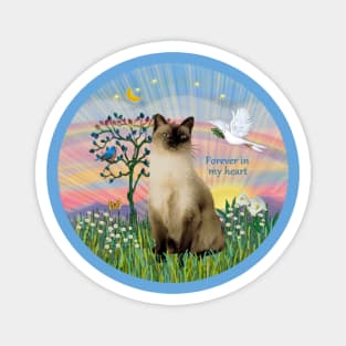 "Rainbow Dove" design with a Siamese Cat (Chocolate Point) Magnet