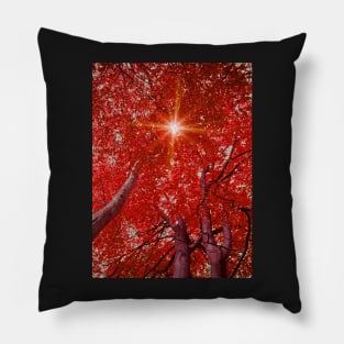 Sunlight through autumn trees Pillow