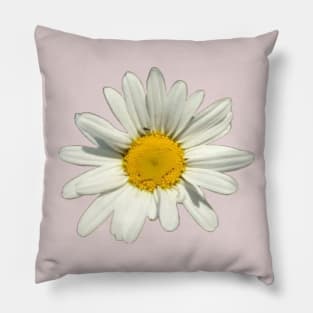 Oxeye Daisy Pillow