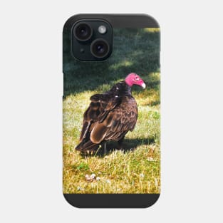 Turkey Vulture Staring Phone Case