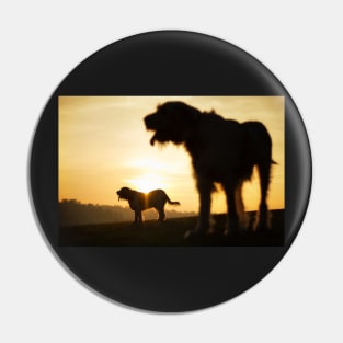 Italian Spinone Silhouettes Pin