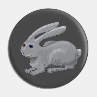 Follow the rabbit Pin