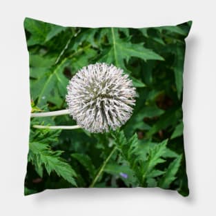 The Weed. Pillow