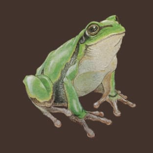 Sitting frog T-Shirt