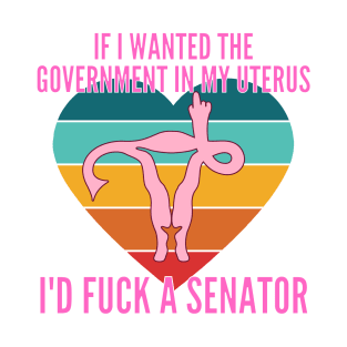 If I Wanted The Government In My Uterus Shirt T-Shirt