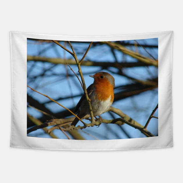 Robin Tapestry by Chris Petty