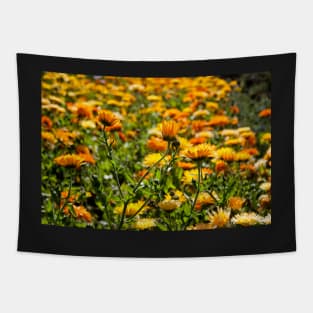 Flower Fields Tapestry