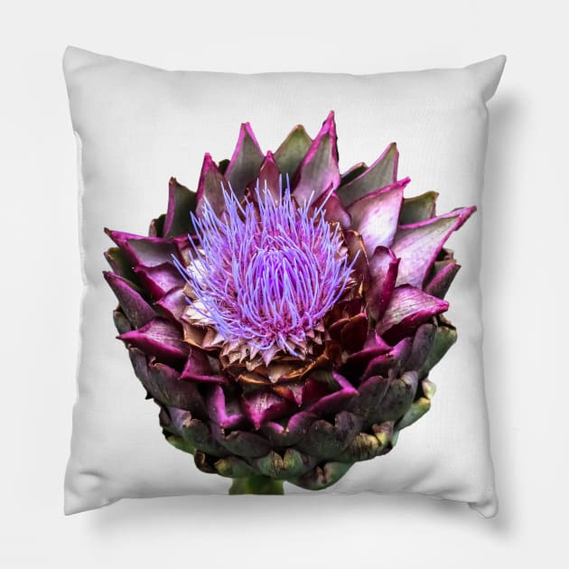 artichoke Pillow by rickylabellevie