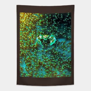 PORCELAIN CRAB T-Shirt Hoodie Sweatshirt Tank Top Kids iPhone Case Pillow Mugs Tote Bag Tapestry Magnet Pin Sipalay Tapestry