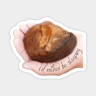 I'd rather be sleeping, cute squirrel Magnet