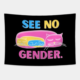 See No Gender - Pan Flag Tapestry