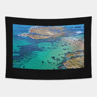 Australian Winter Blues Tapestry