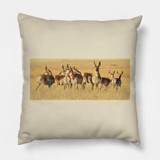 Pronghorn, Antelope, Wildlife, gifts, Life of the Herd Pillow