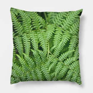 Ferns Pillow