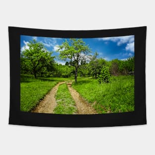 Rural road through meadow Tapestry