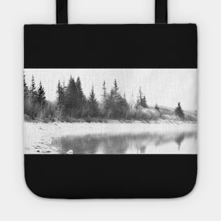 Landscape in hi key. Tote