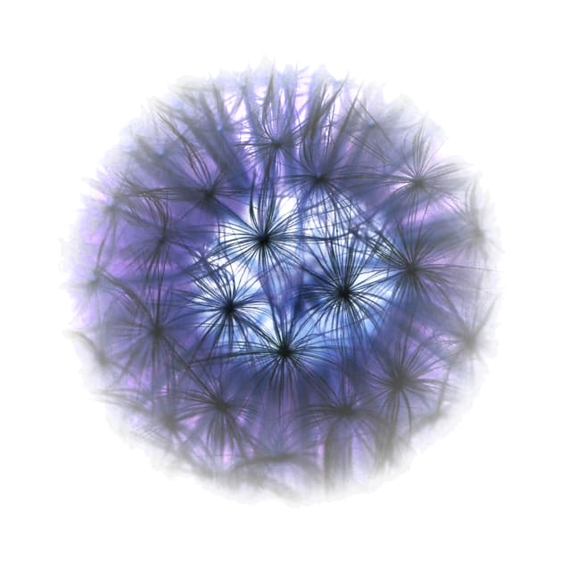 Blue Dandelion by RFMDesigns