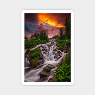 Wilderness Stream Summer Sunset Magnet