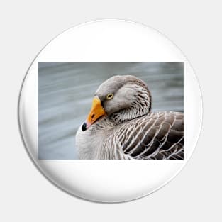 Greylag Goose Pin
