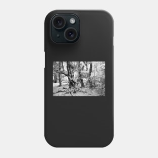 Argentine - San Carlos de Bariloche - Les arrayanes Phone Case