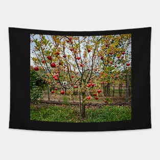 Apple tree in the orchard Tapestry