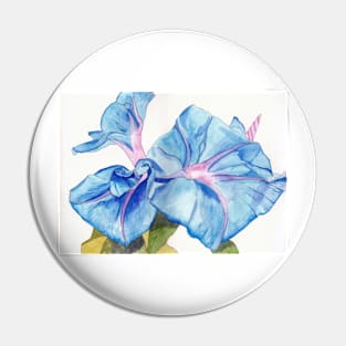 Blue Bindweed (morning glory) watercolour painting Pin