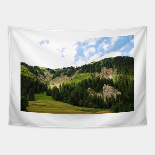 Friulian Dolomites Tapestry by jojobob