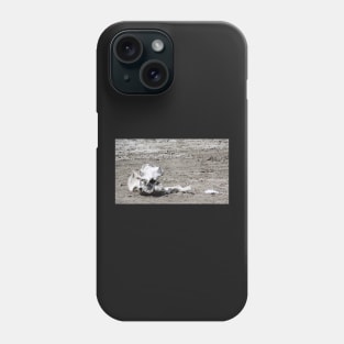 Death in a Dead Lake. The Stark reality of Climate Change, Tanzania Phone Case