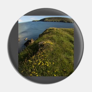 Fetlar, Shetland Islands Pin