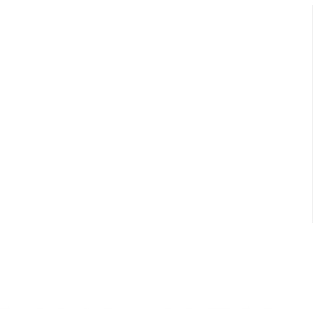 13.1 Finisher Magnet