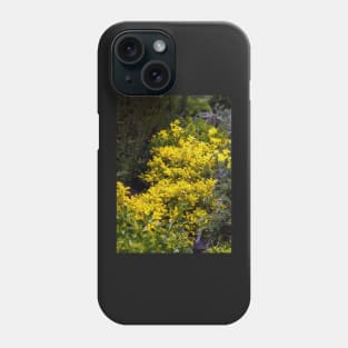 Golden euonymus shrub Phone Case