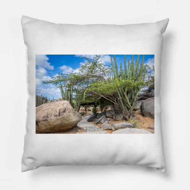 Pathway Around Boulders and Cacti Aruba Pillow by Debra Martz