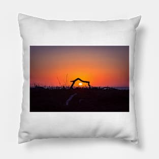 Sunset Through Driftwood Pillow