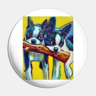 Cute Boston Terrier Puppies by Robert Phelps Pin
