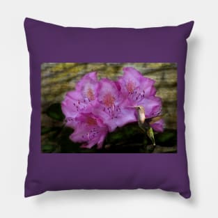 Hummingbird With Purple Flowers Pillow